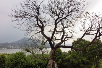 Fort Domingo Grounds