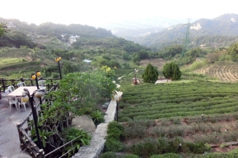 on the tea trail Taipei