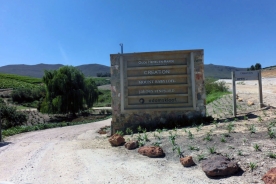 Creation Winery