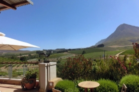 Creation Winery
