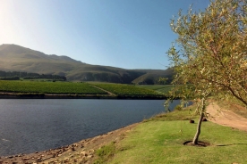 Saronsberg Winery