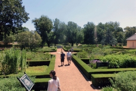 Vergelegen Estate