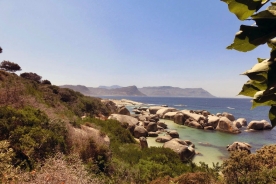 Boulders Beach Cape Town