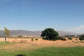 Saronsberg Winery Cottage