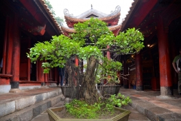 bus y in the cities of VietnamHANOI LAKE GARDENS