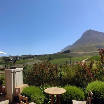 food and wineries of south africa - only1invillage.com