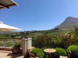 South Africa Winery - only1invillage.com