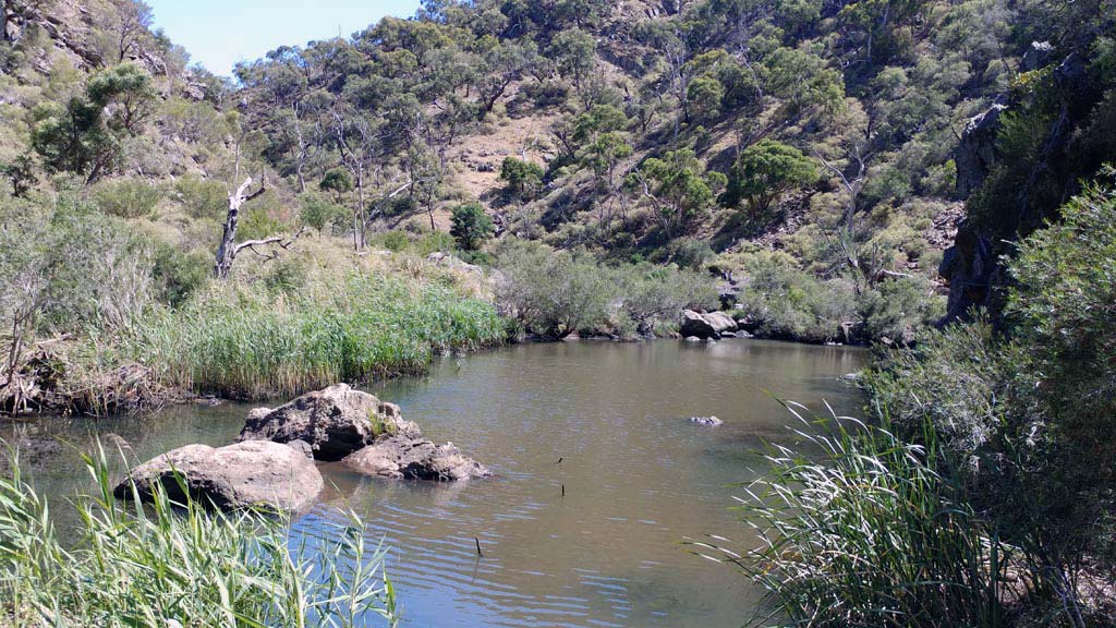 Werribee Gorge State Park Hiking Circuit River Melbourne Day Trips