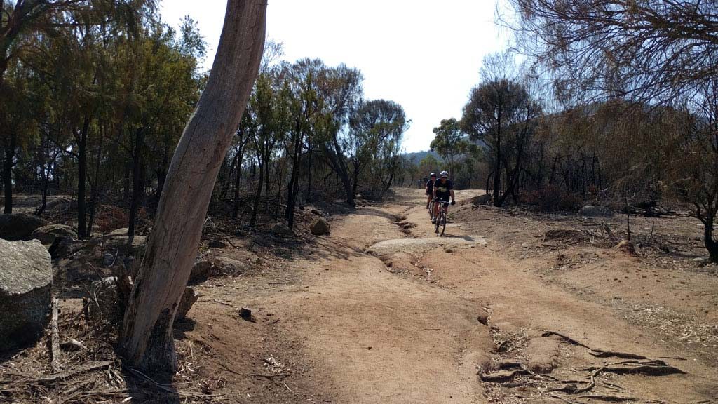 5 Great You Yangs walks plus running rock climbing biking