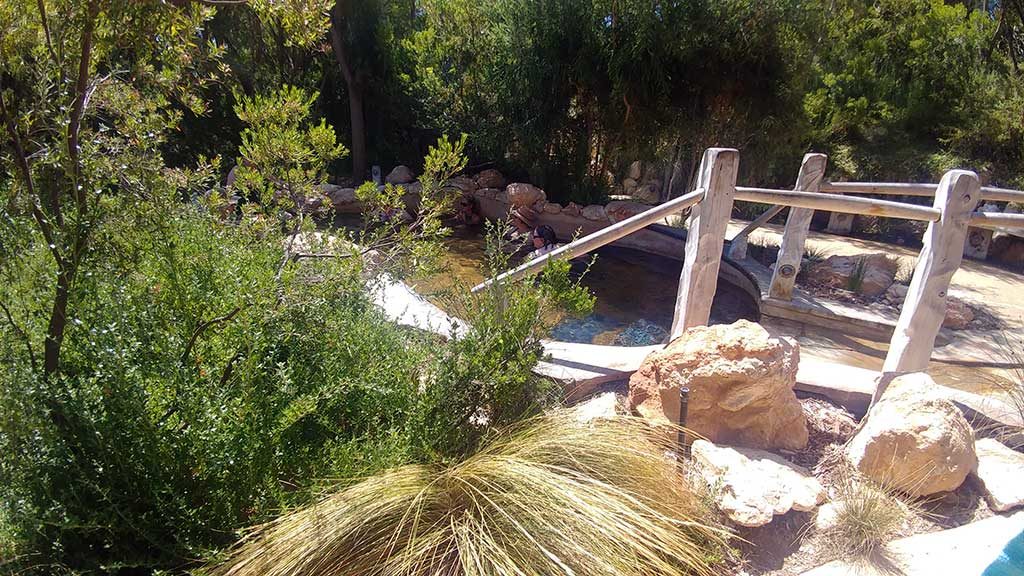 Peninsula Hot Springs near Melbourne indulge relax and rejuvenation