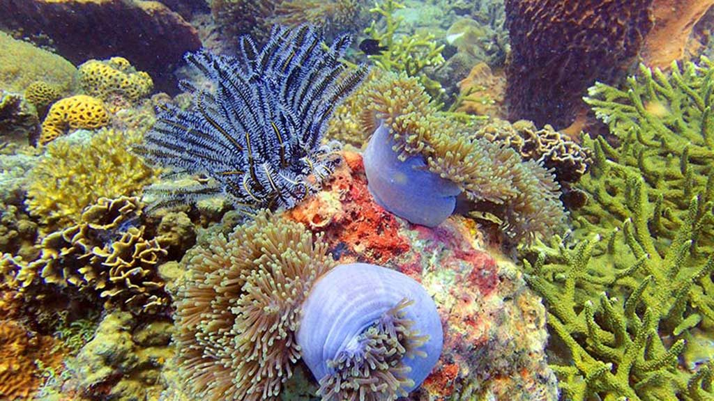 Redang Only1invillage secret paradise island revealed