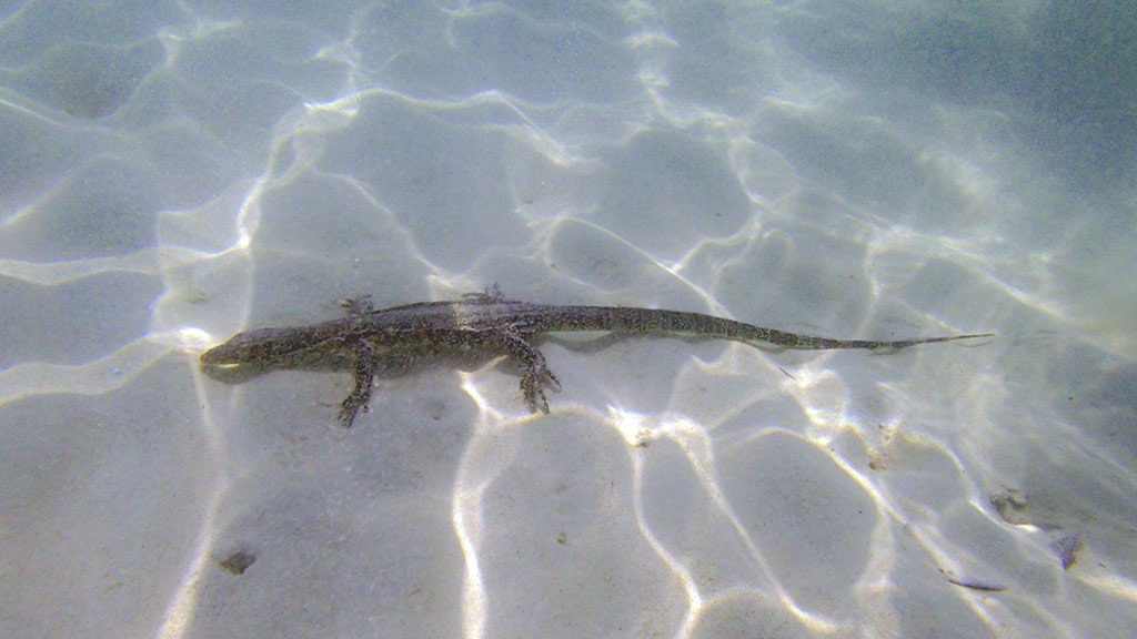 Redang Only1invillage secret paradise island revealedMalaysian Maldives rival