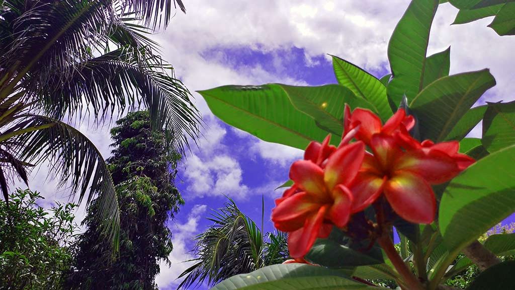 Redang Island secret paradise