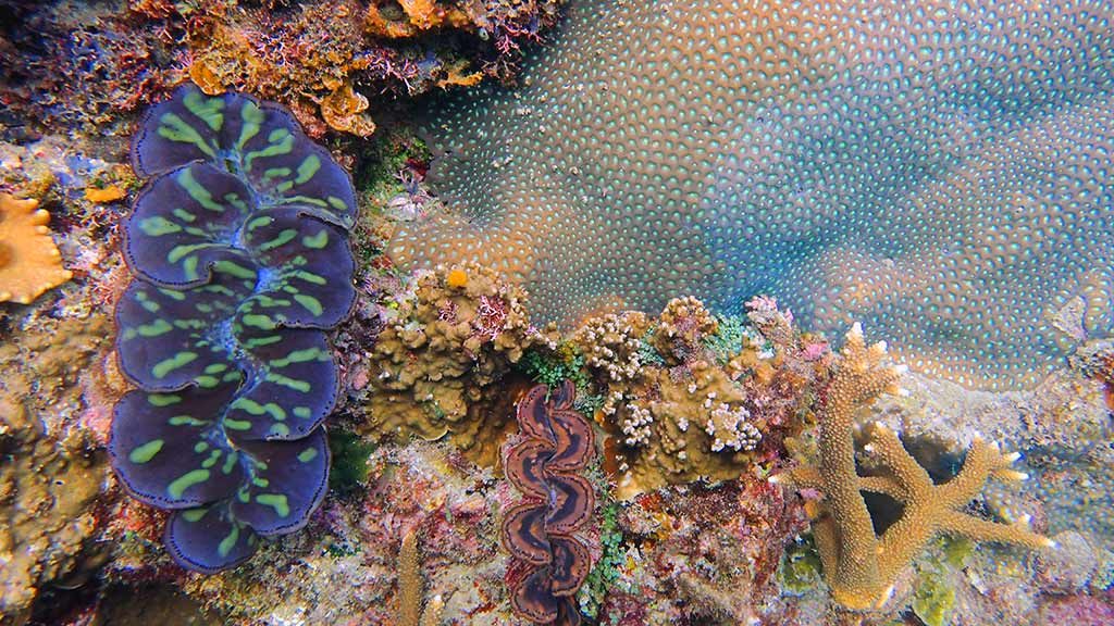 Redang Island secret paradise