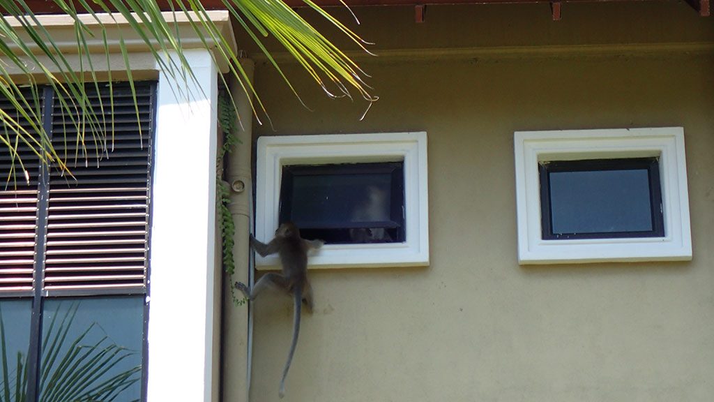 Redang Island secret paradise