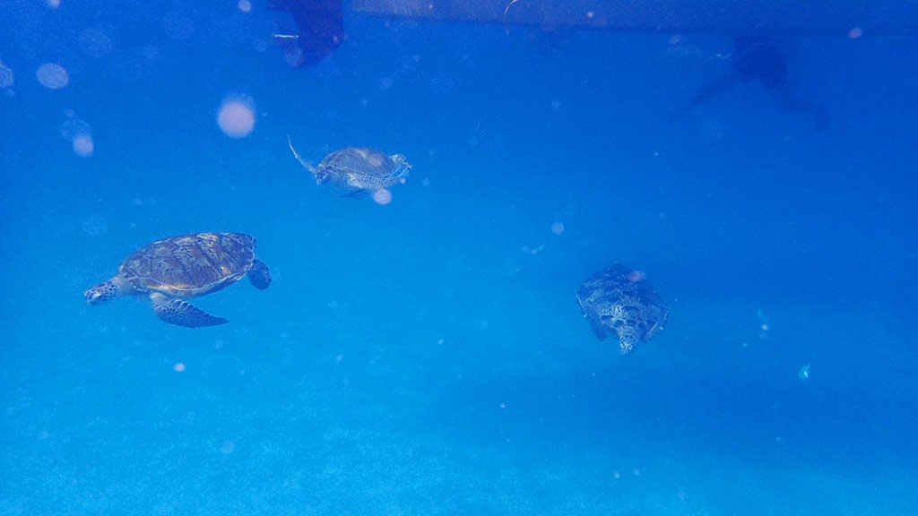 Redang Island secret paradise