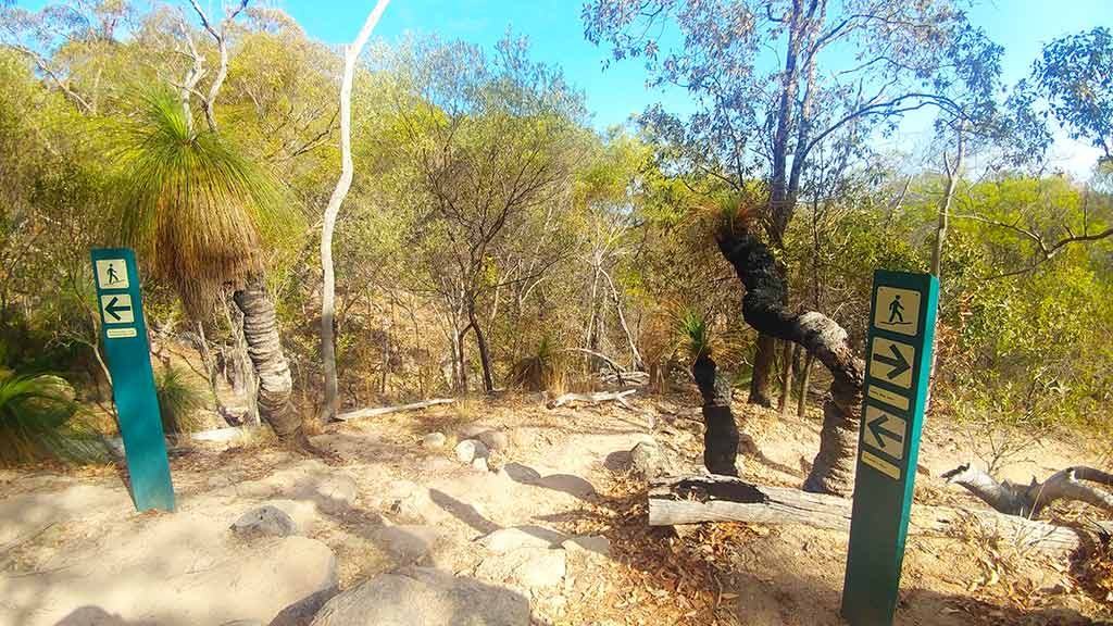 Discover the many attractions of Magnetic Island things to do walking trails