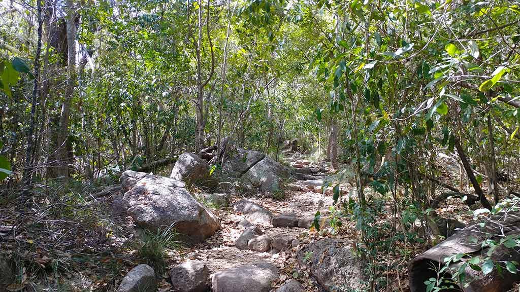 Discover the many attractions of Magnetic Island things to do walking trails