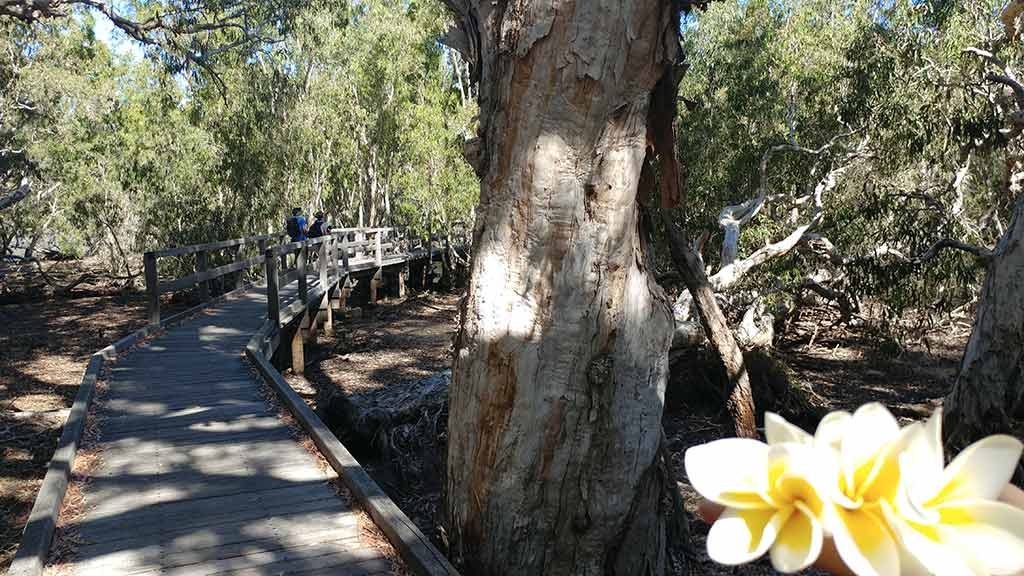 Magnetic Island and its many attractions walks by only1invillage