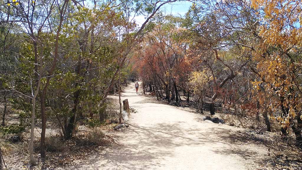 Forts walk flat path start