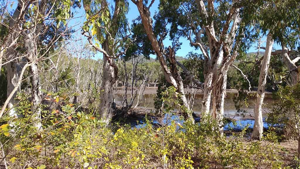 Magnetic Island and its many attractions walks by only1invillage