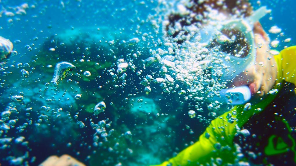 Clown Fish special Edition only1invillage