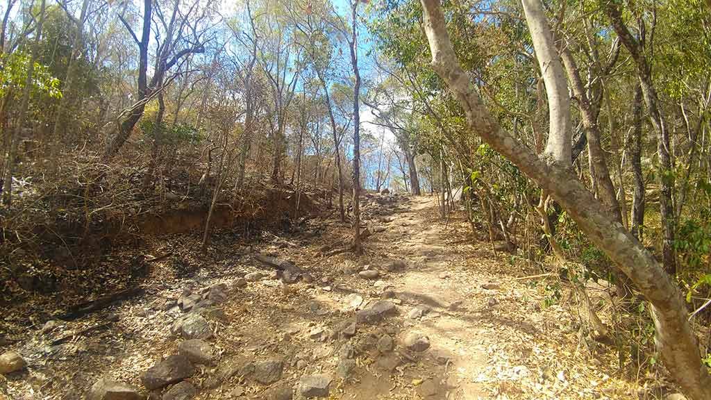 Discover the many attractions of Magnetic Island things to do walking trails