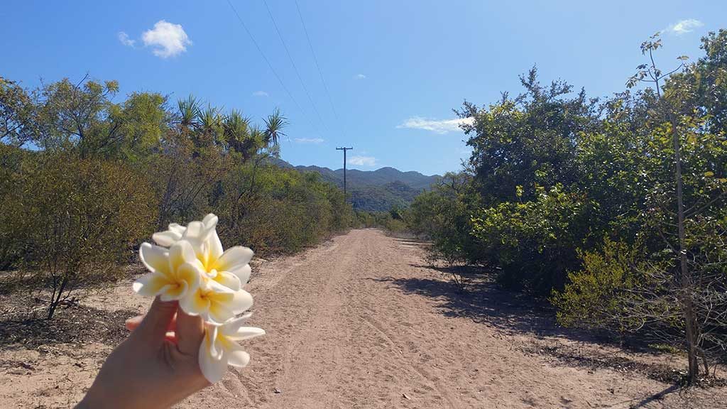 Magnetic Island and its many attractions walks by only1invillage