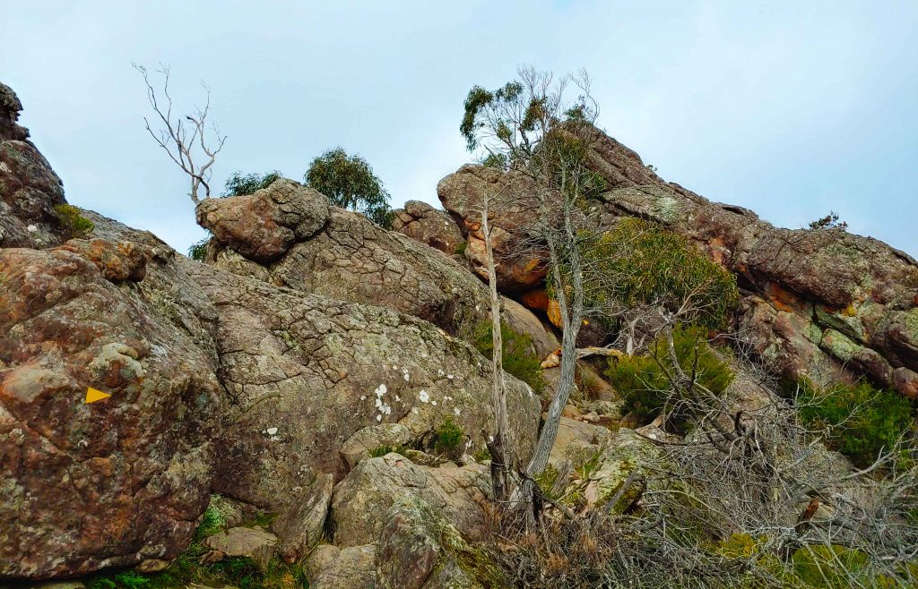 get good at spotting yellow triangle markers Only1invillage