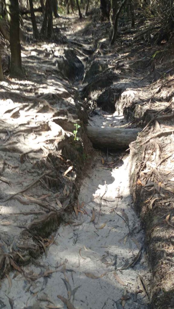 sandstone weathering Drawing Room Rocks Walk NSW only1invillage